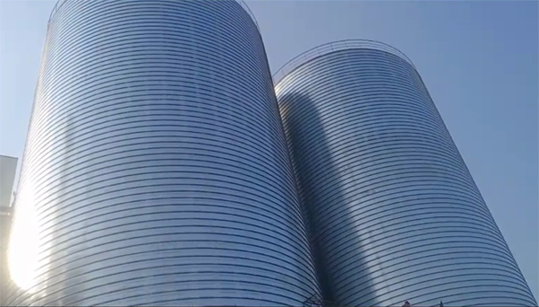 浮山2座混凝土高架卷板仓